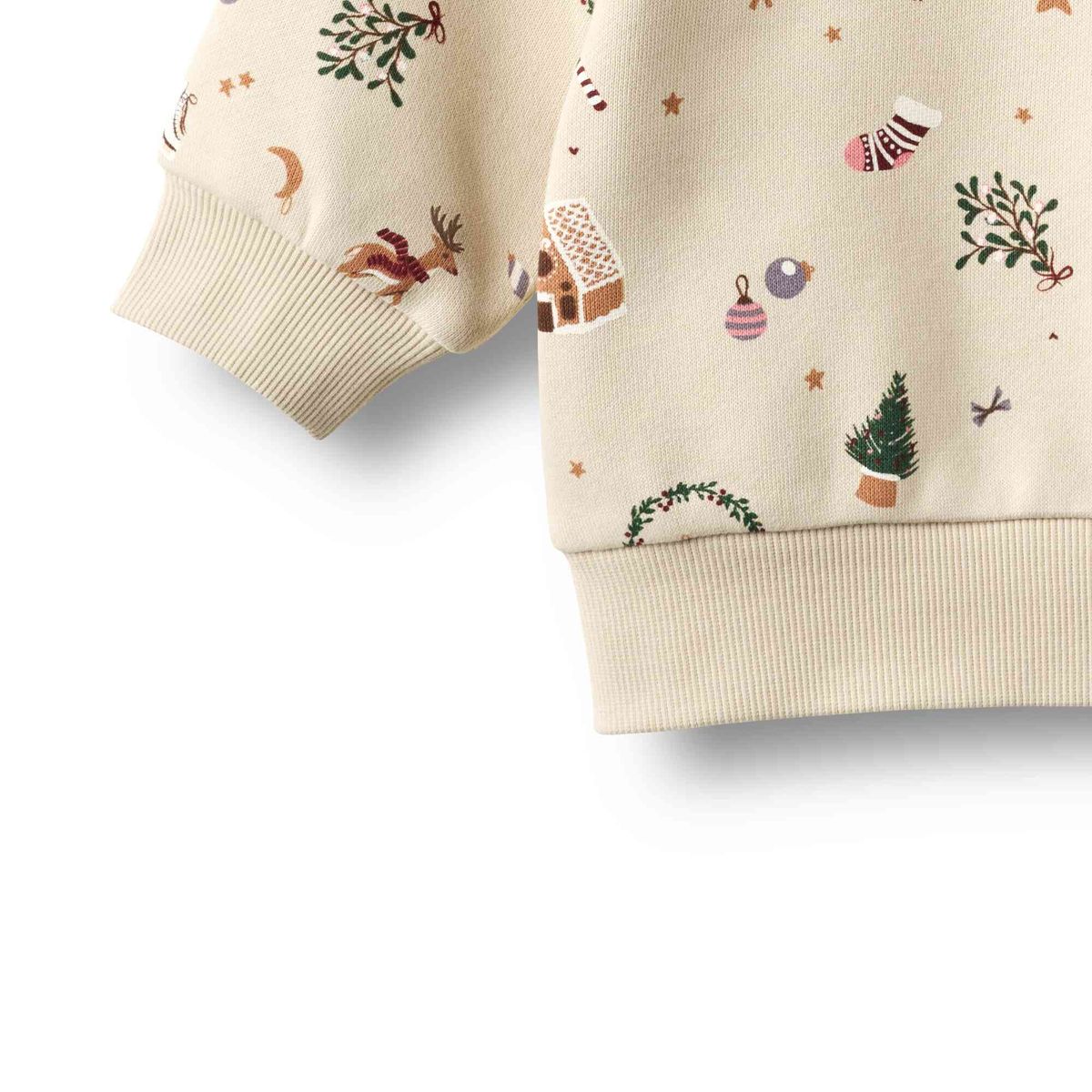 Elliot Holiday Sweatshirt - Baby