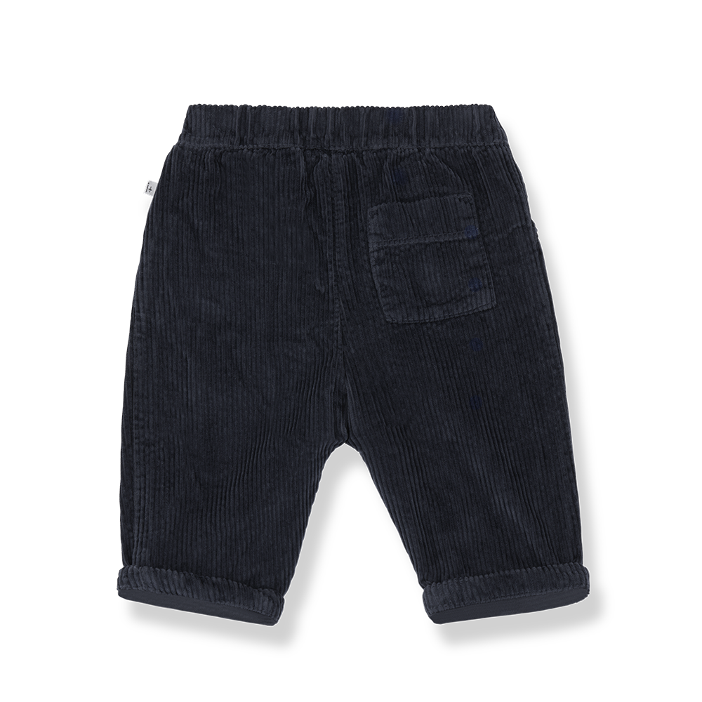 Quinn Corduroy Pants