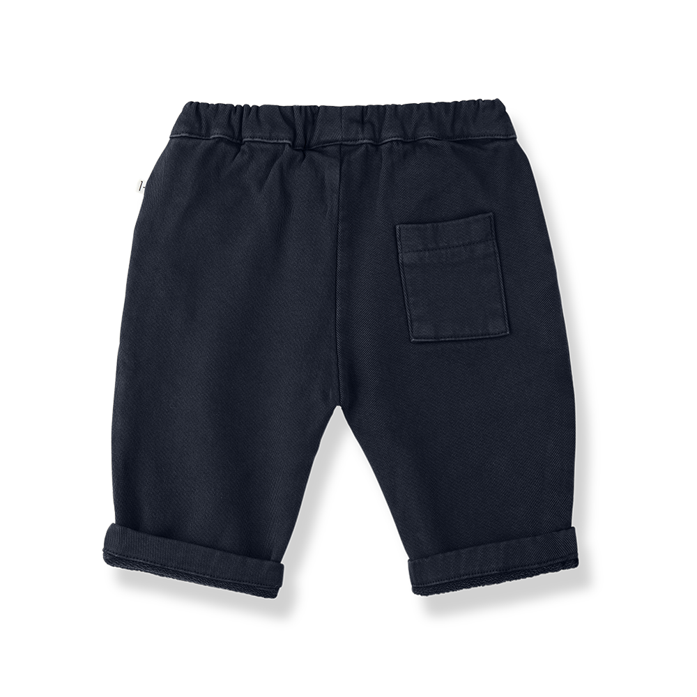 Van Navy Pants