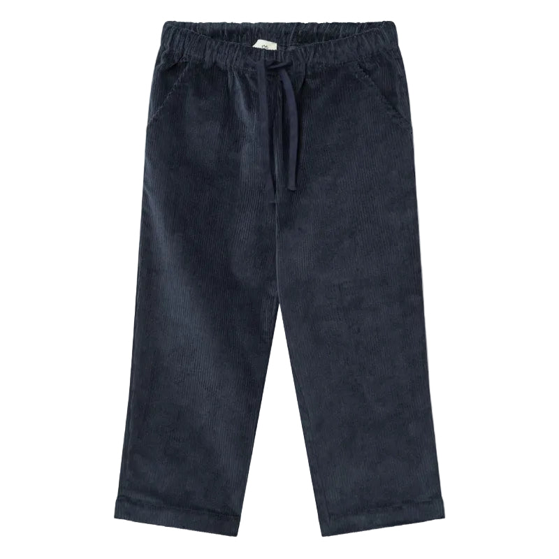 Navy Corduroy Pants