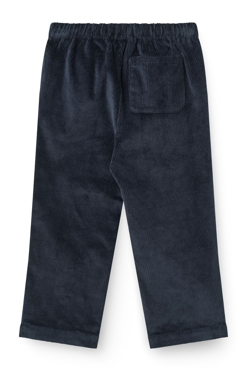Navy Corduroy Pants