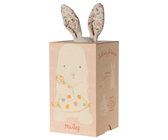 Snuggle Bunny Lullaby Friends