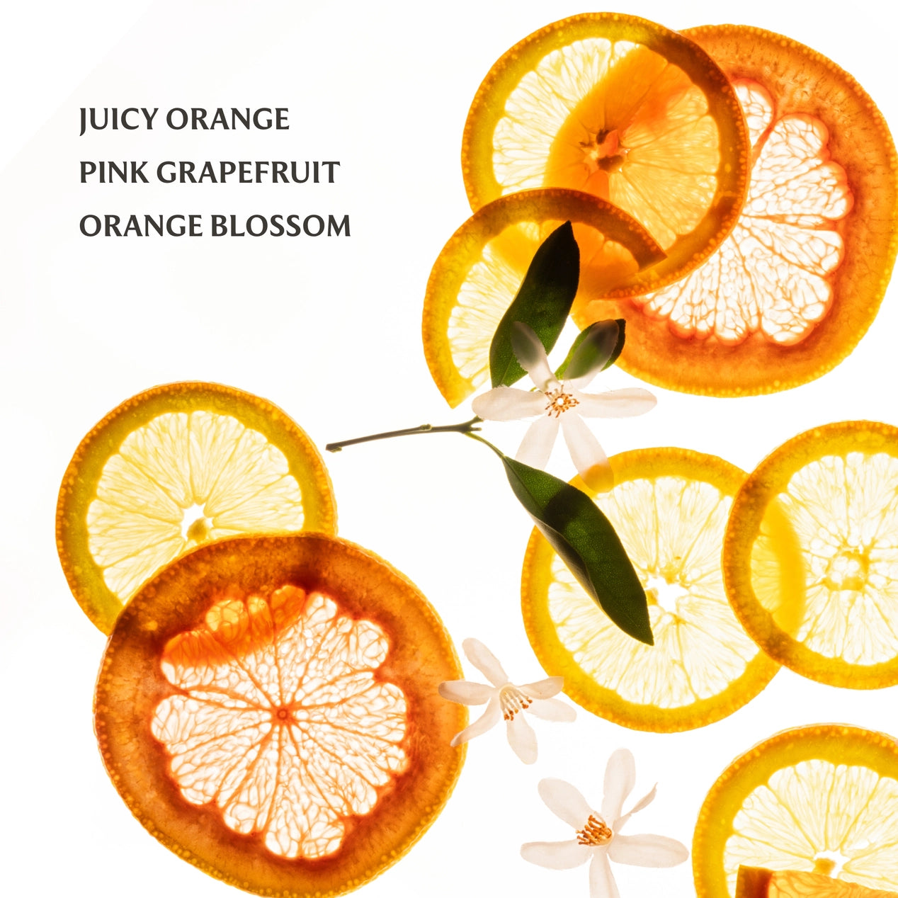 Citrus Grove Power Mist Hand Sanitizer