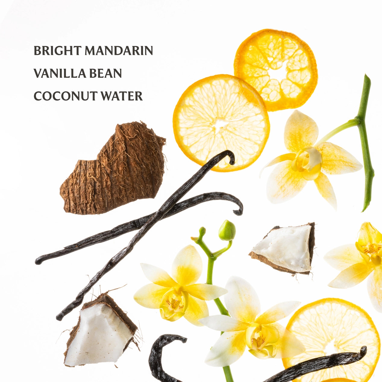Vanilla Blossom Power Mist Hand Sanitizer