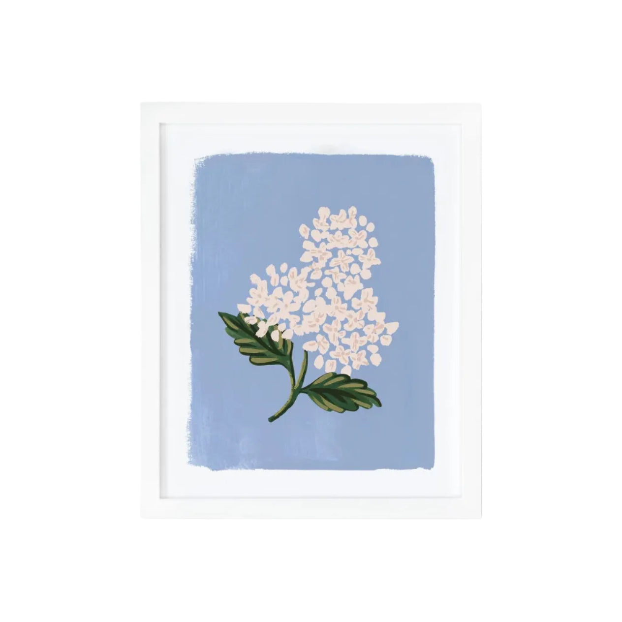 Hydrangea Bloom Art Print