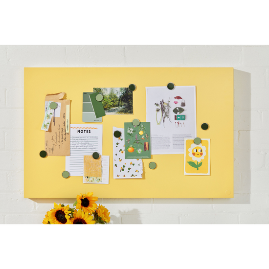 The Storyboard in Butter