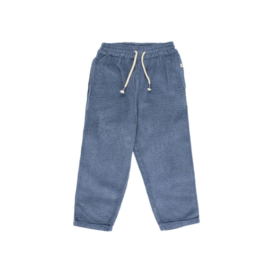 Artic Blue Corduroy Pants - Toddler