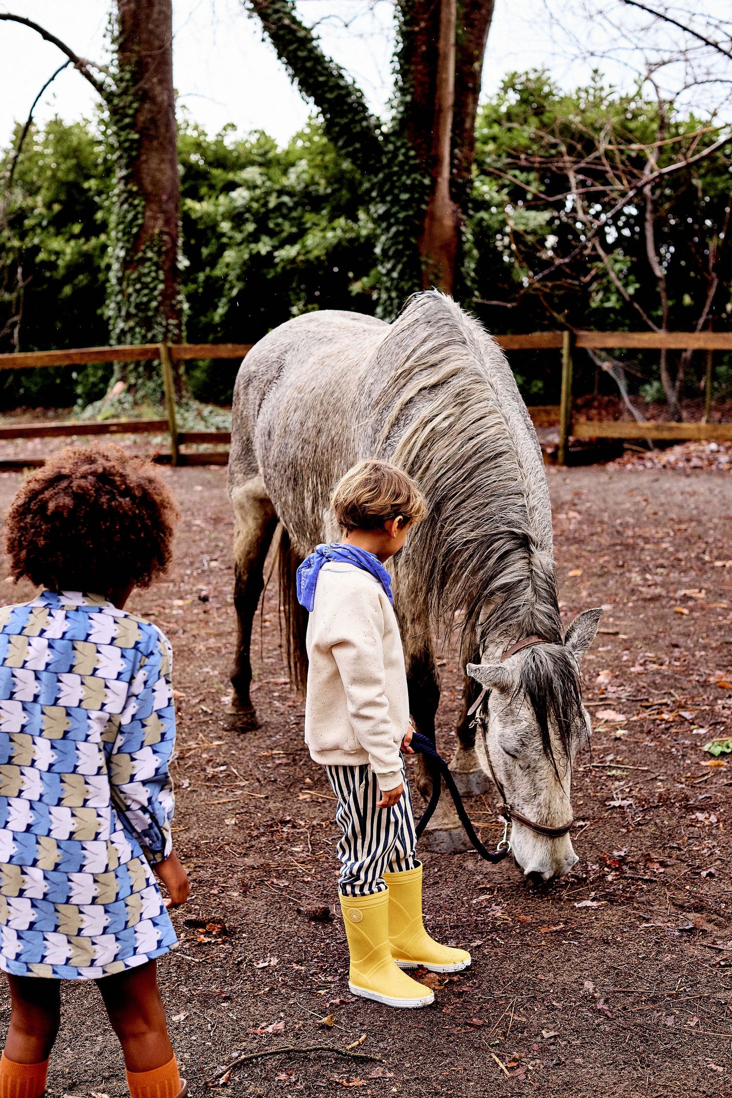 Confetti Sweatshirt - Toddler