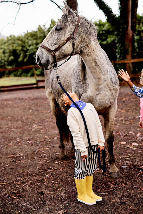 Confetti Sweatshirt - Toddler