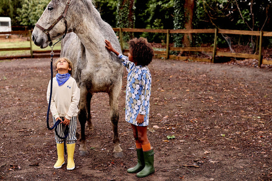 Confetti Sweatshirt - Toddler