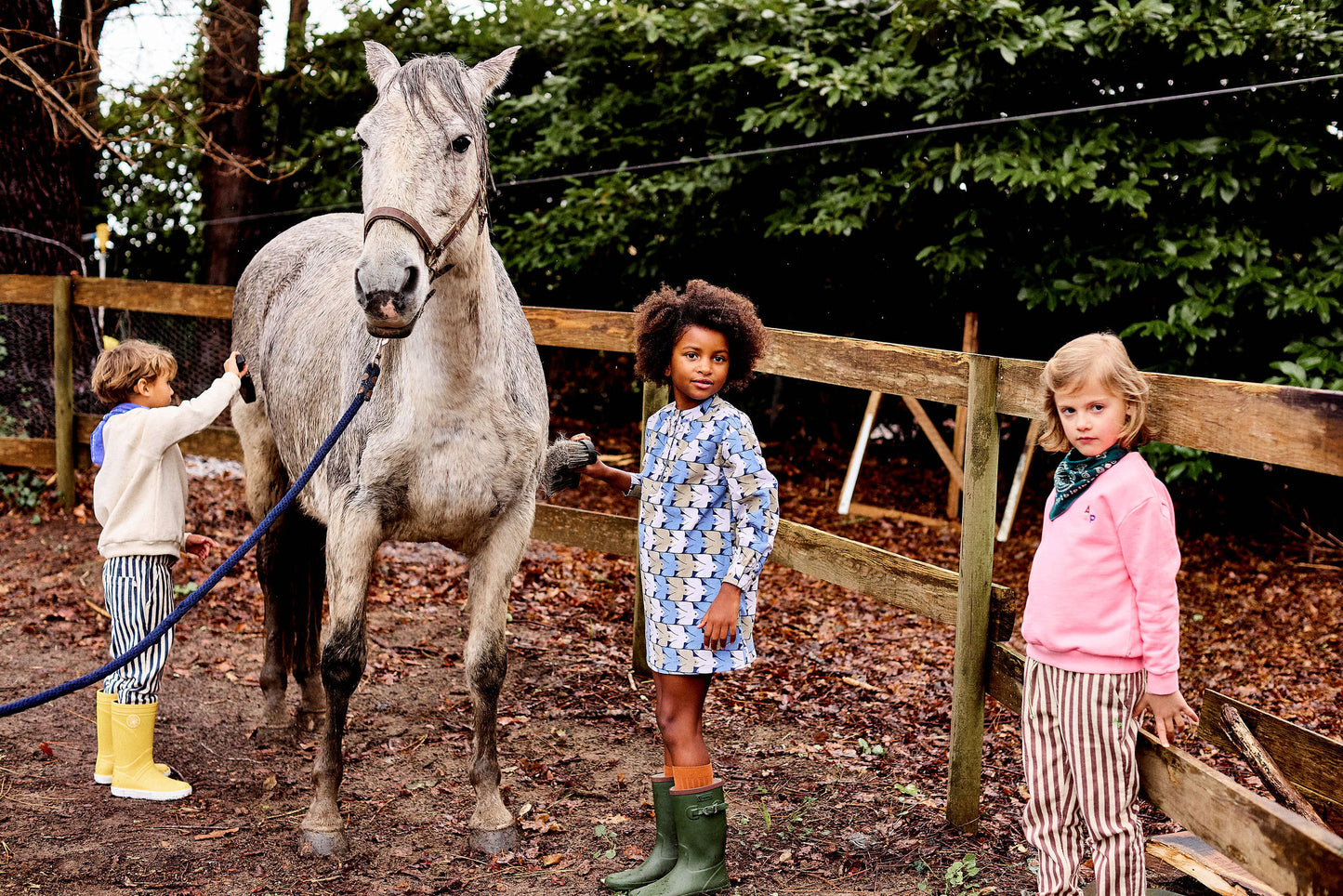 Confetti Sweatshirt - Toddler