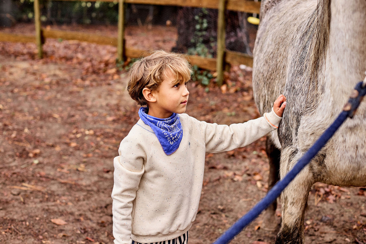 Confetti Sweatshirt - Toddler