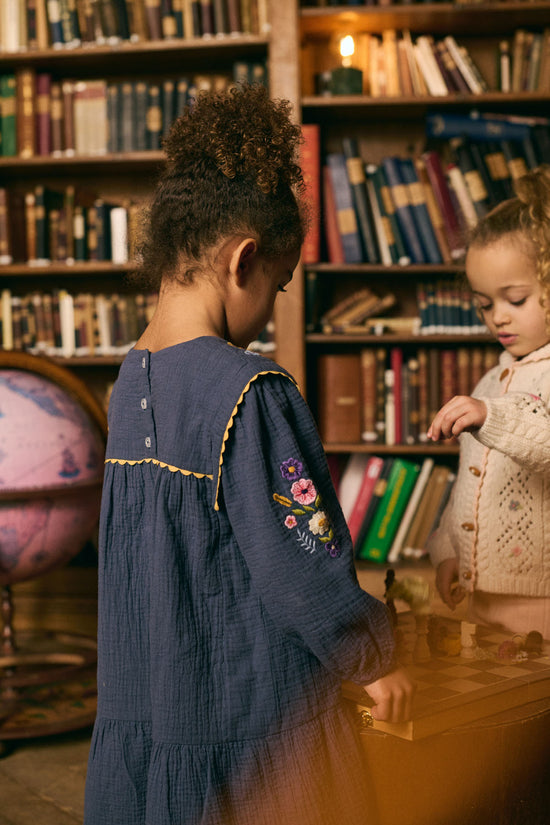 Midnight Isatys Dress