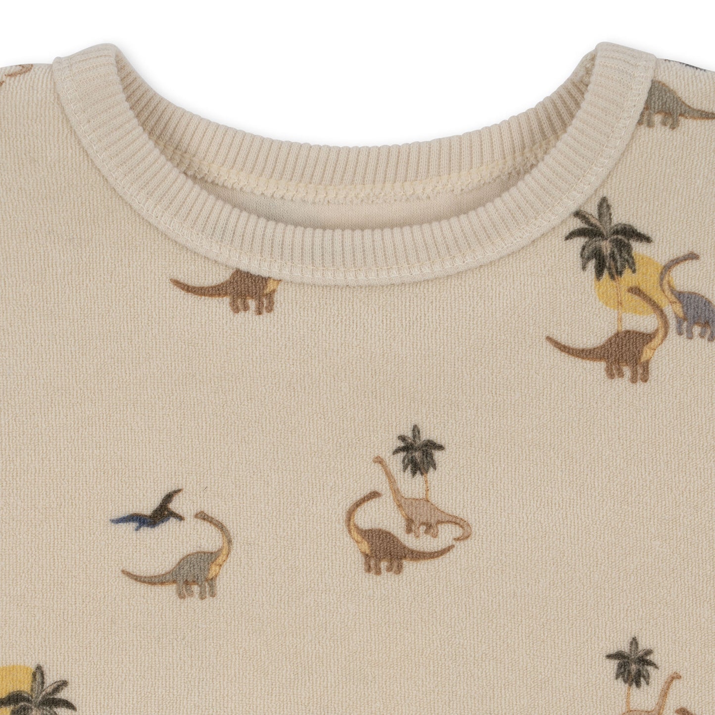 Dinosaur Itty Sweatshirt