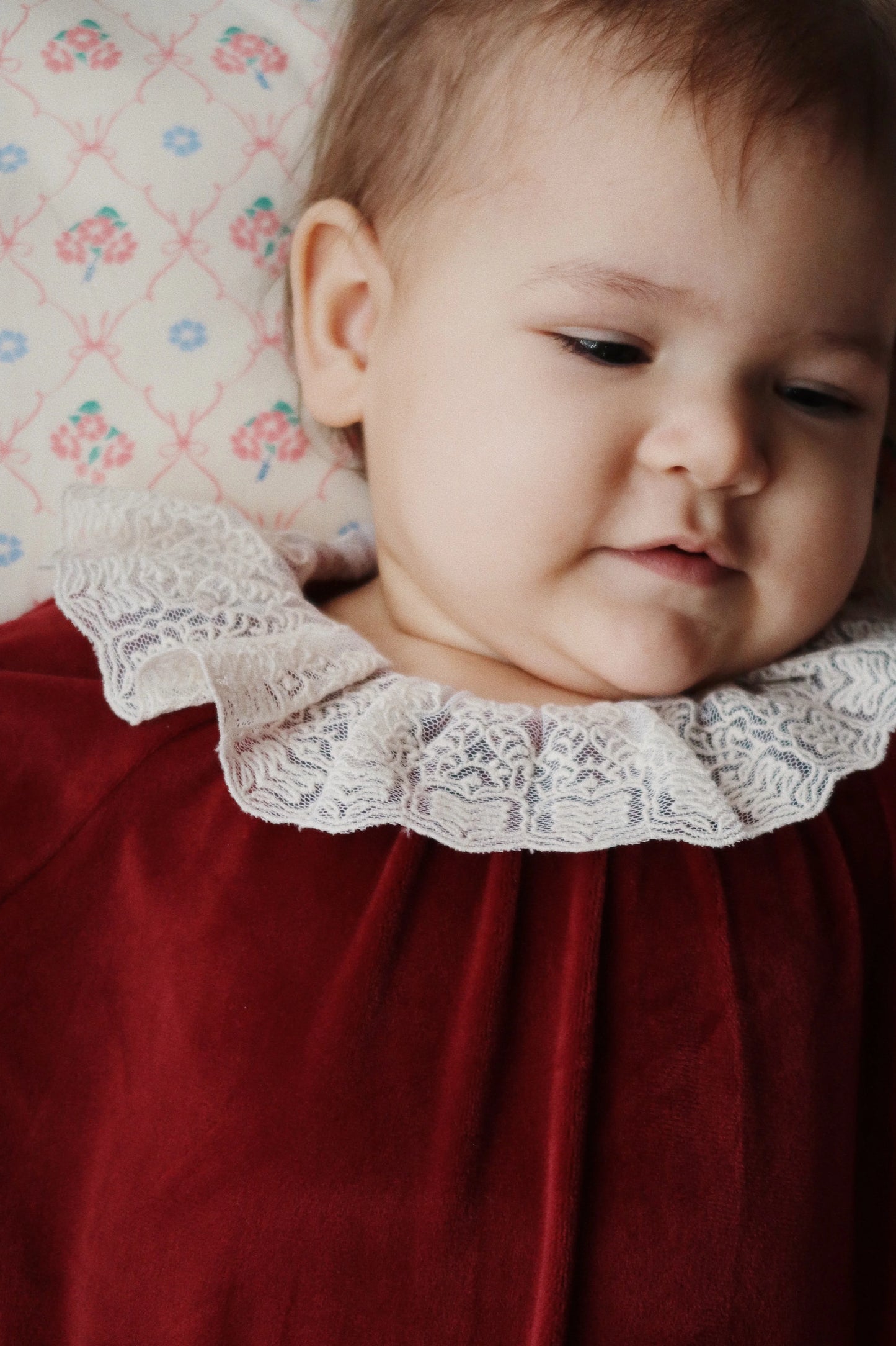 Red Dahlia Venola Bubble