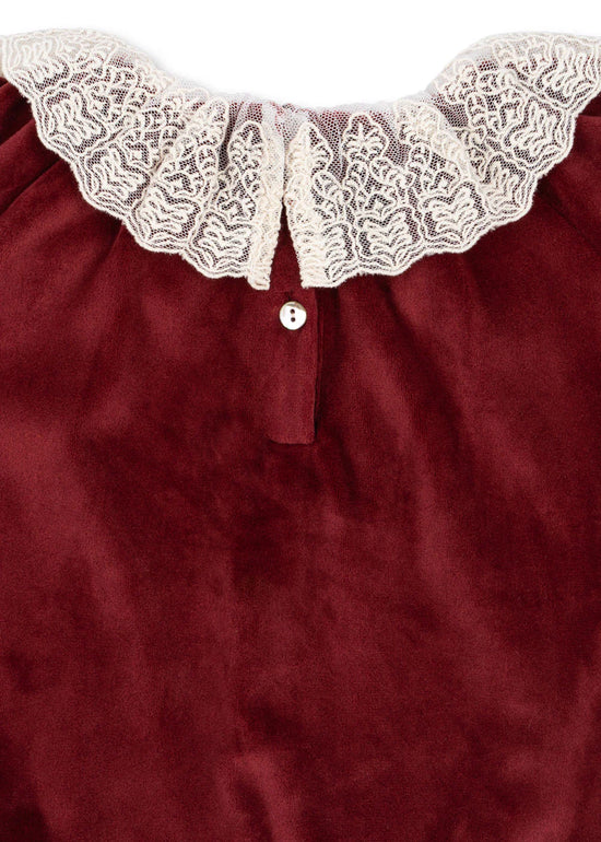 Red Dahlia Venola Bubble