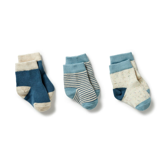 Baby Socks Pack in Bluestone