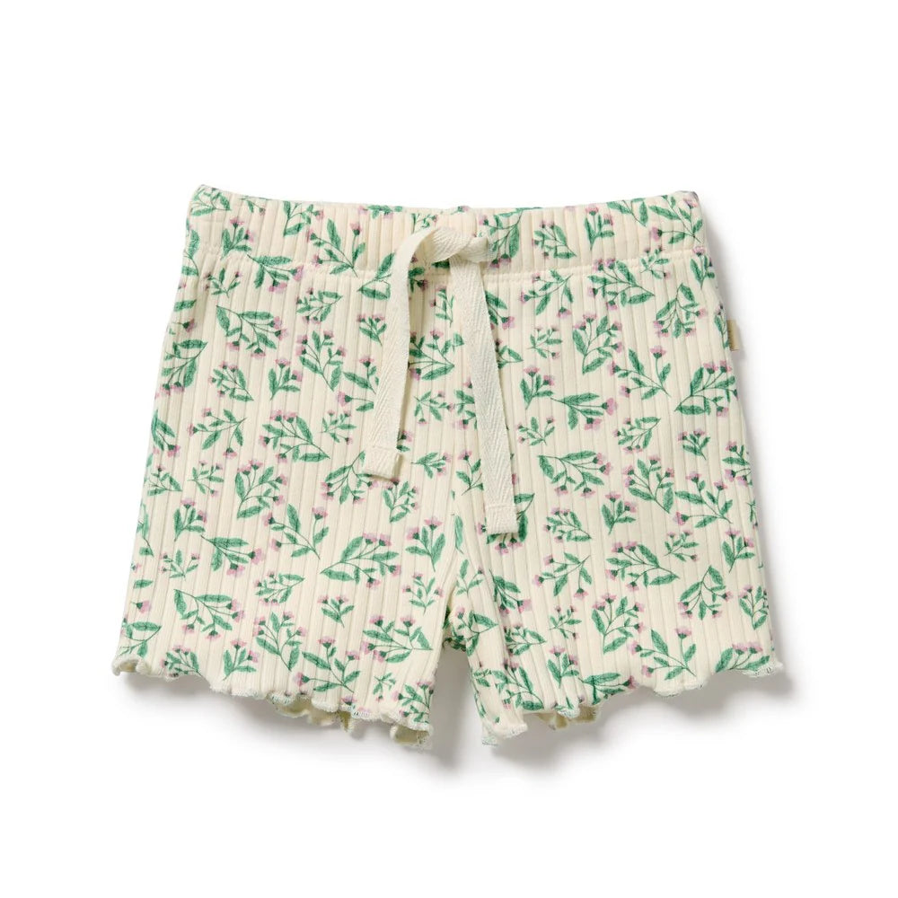 Periwinkle Organic Shorts