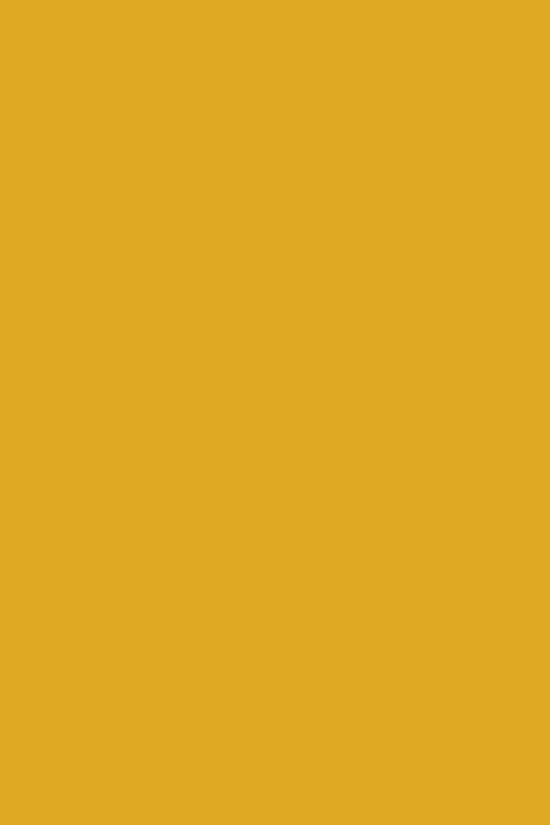Load image into Gallery viewer, The Twinny in Mustard

