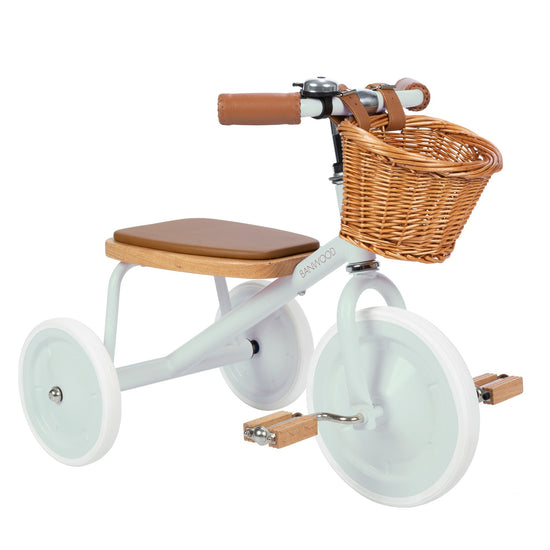 Load image into Gallery viewer, Pale Mint Vintage Trike with Basket
