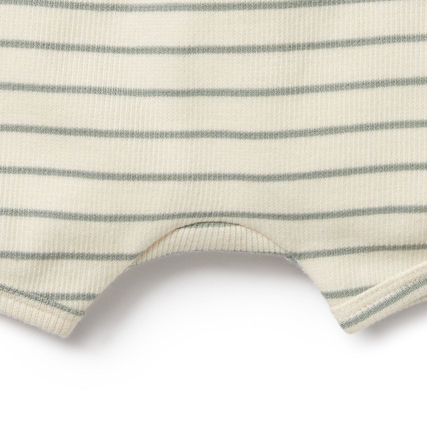 Petit Striped Shorts in Sage