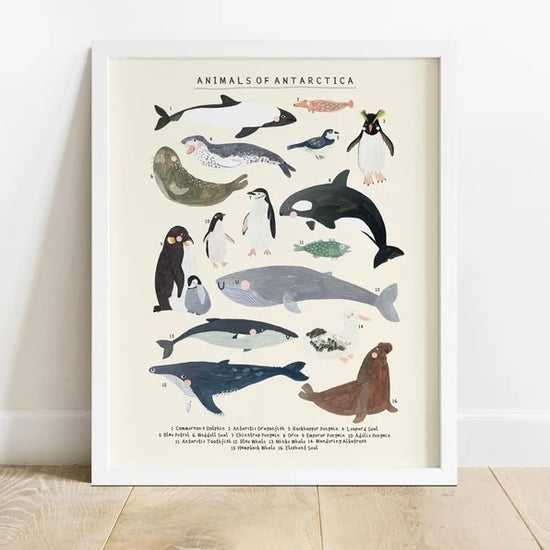 Load image into Gallery viewer, Antarctica Animals Print
